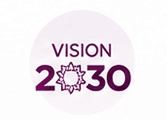 Vision 2030 Icon