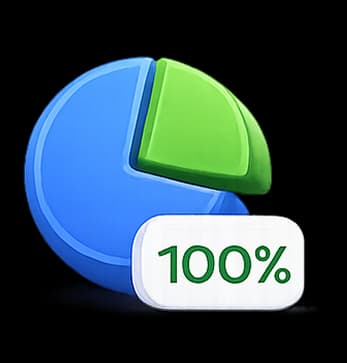 100% Budget Transparency