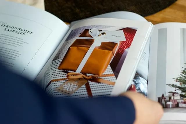 إعلانات الكتالوج والتسوق